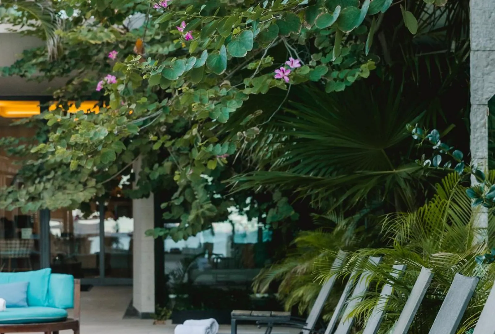 Hyatt Centric Playa Del Carmen - Downtown House & Beach House (Adults Only)